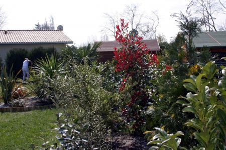 le coin sauvage