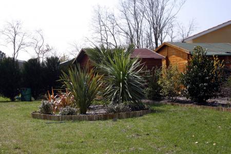 le coin jardin exotique